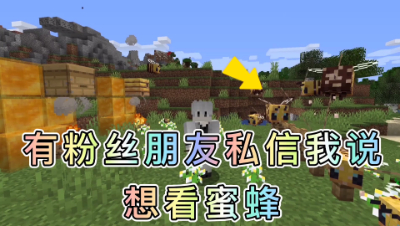 我的世界蜜蜂介绍：中国版更新蜜蜂了，蜂蜜效果堪比牛奶！