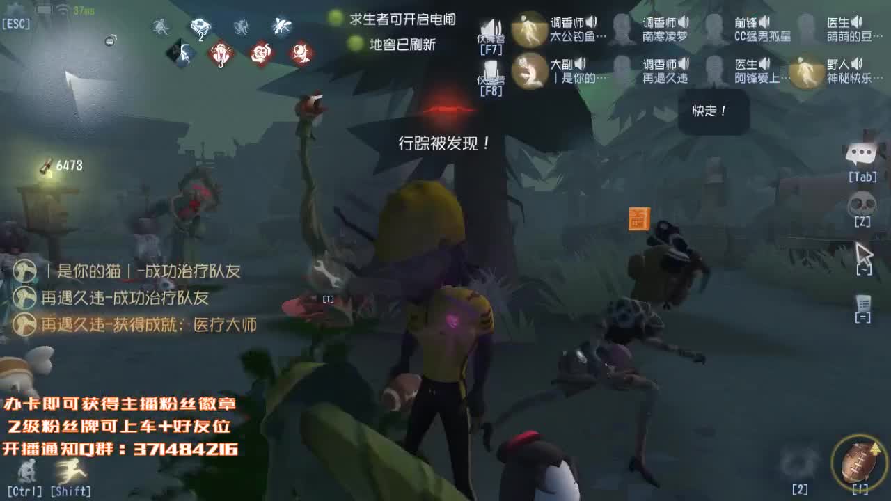 专业催眠~