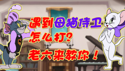 【猫鼠公开课】遇到母猫、侍卫怎么打？老六来教你！