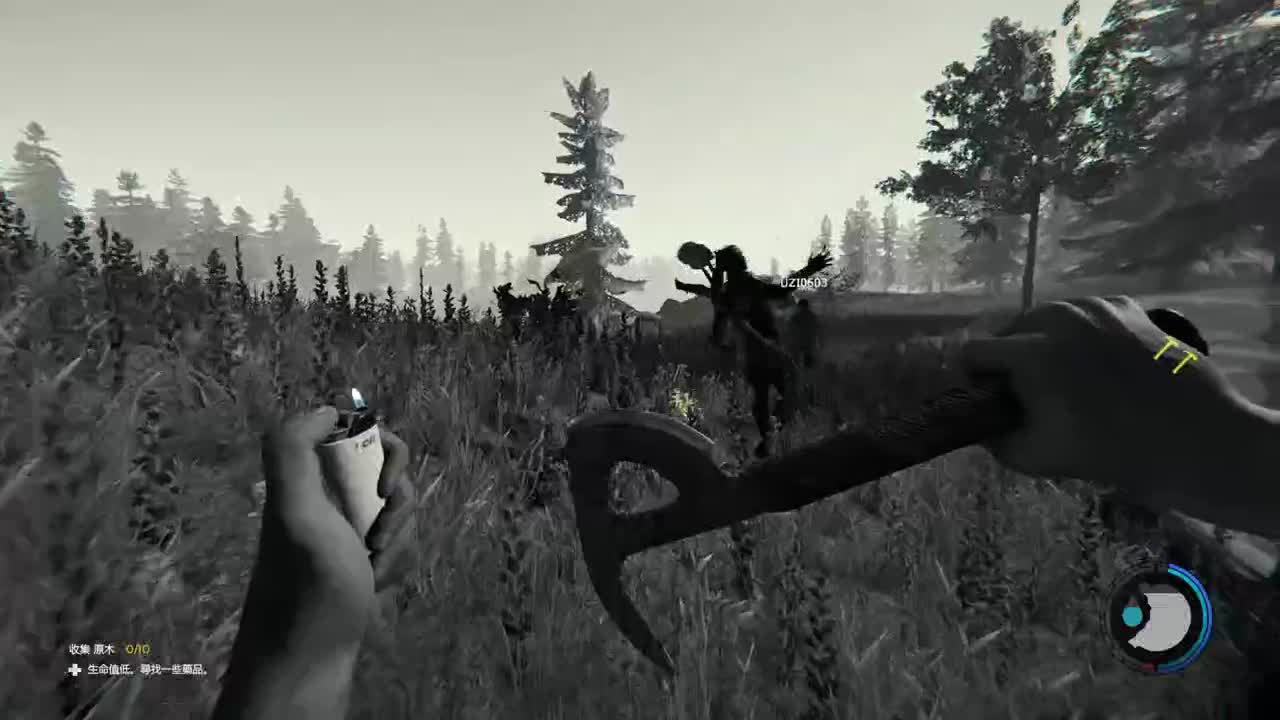 国服第一路人王