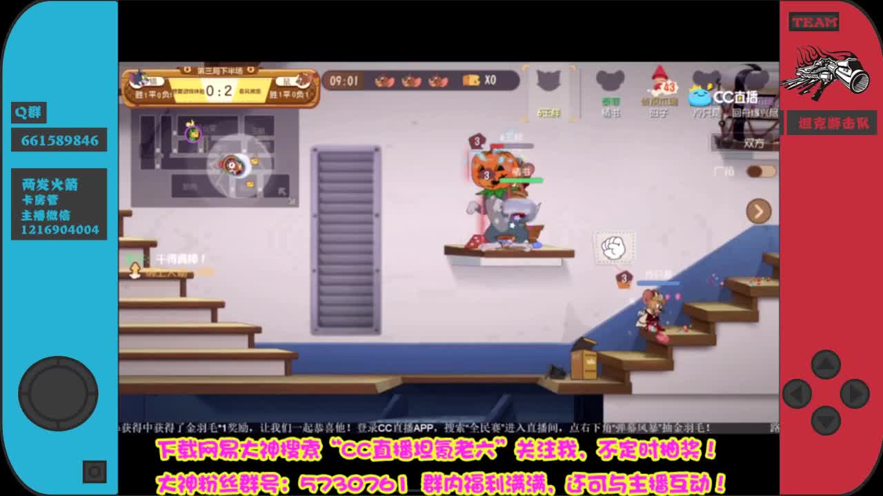 找猫找的好，躺赢躺到老~