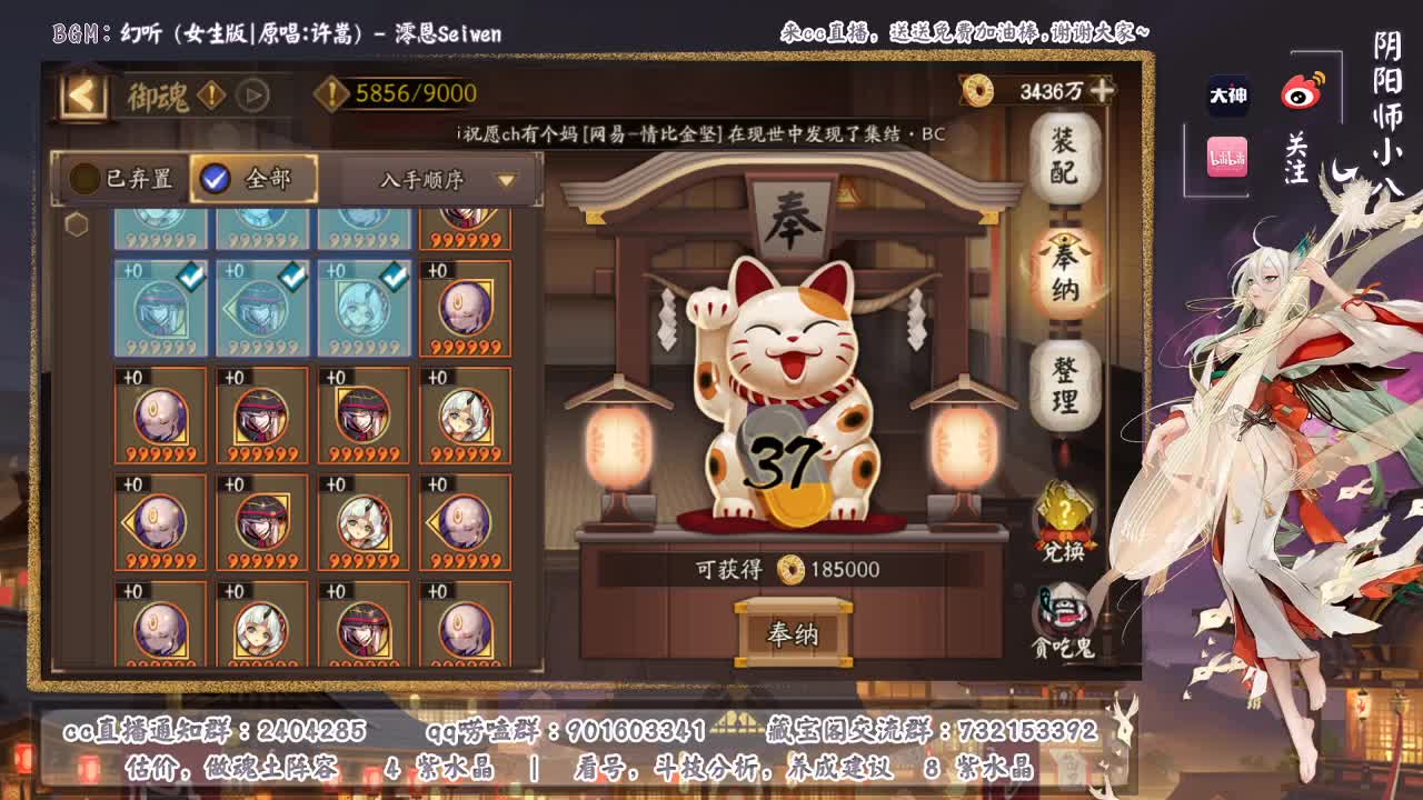 备战崽战。晚上50星开打 第1段