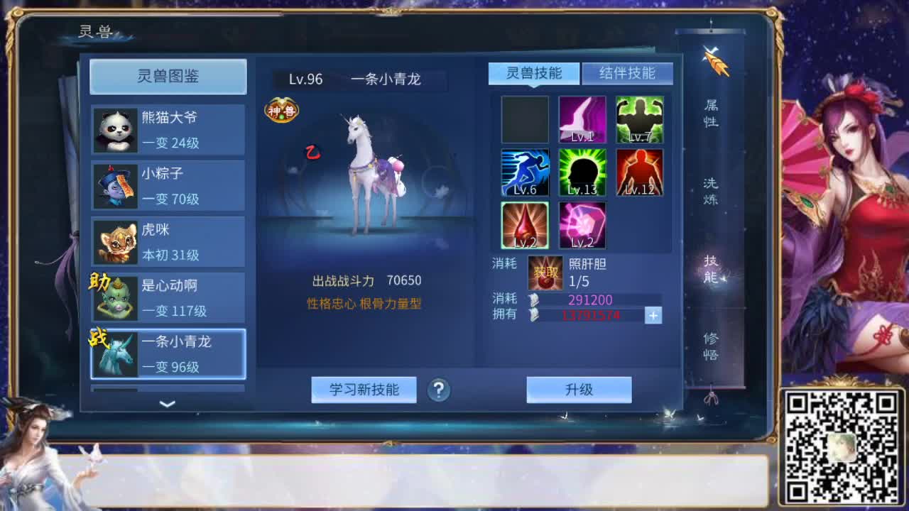 全民，战队招募中
