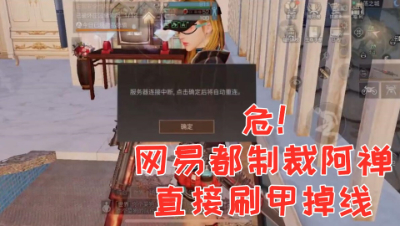 危!网易都制裁阿禅!直接刷甲掉线!明日之后 静观思禅 抄家