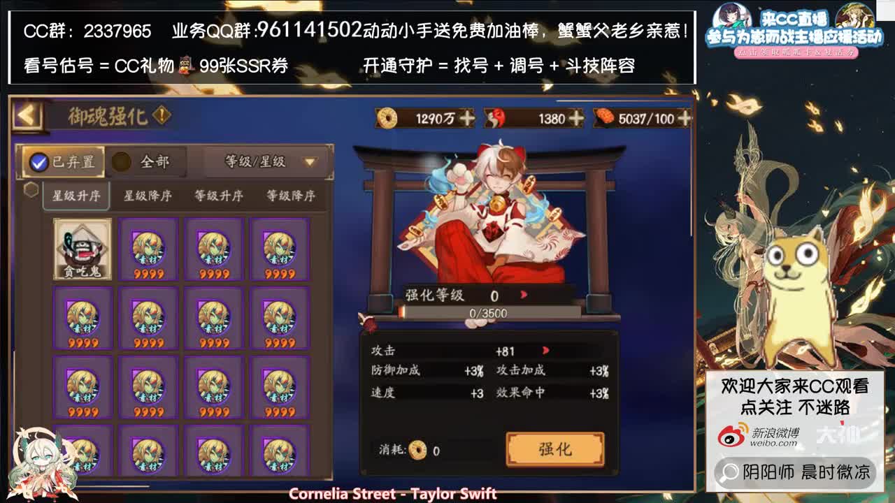崽战day10！初赛最后一天！