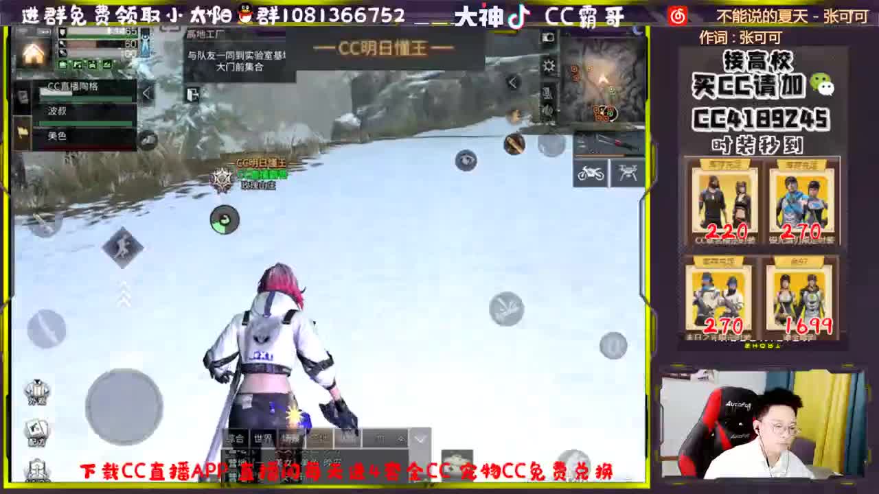 白嫖金C 宠物CC