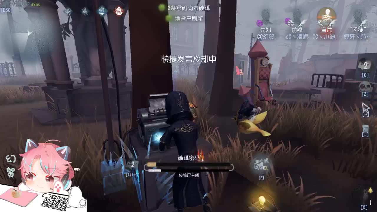 猪啵鸽鸟 第1段