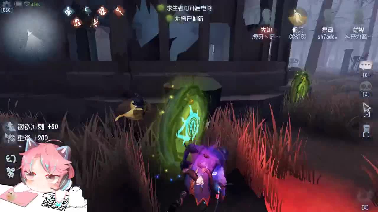 猪啵鸽鸟