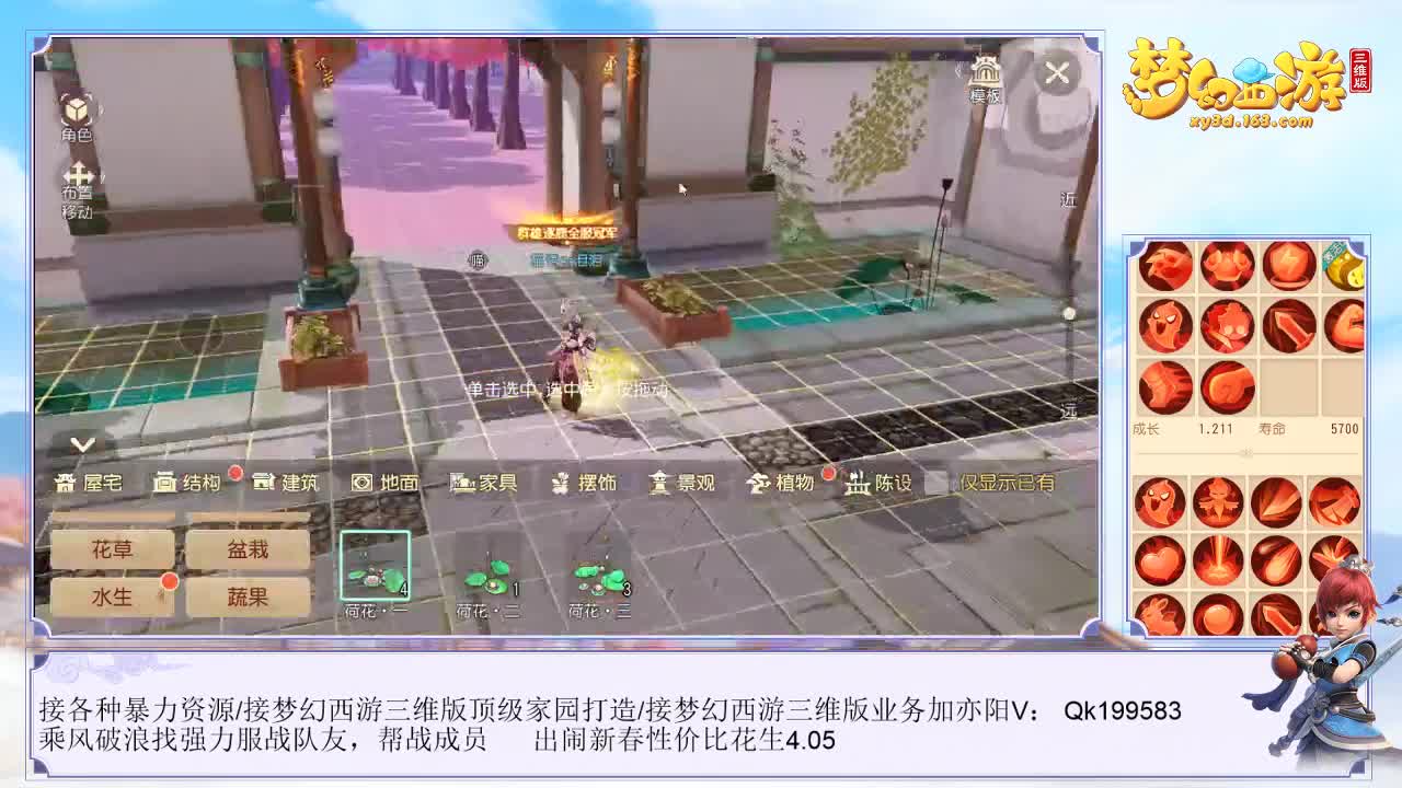 棉花做家园啦！