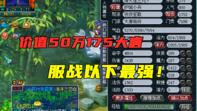 梦幻西游：价值50万175大唐，除了服战号以外，他就是帮战王者！
