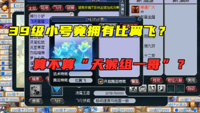 梦幻西游：39级小号竟拥有比翼飞特效，骑飞天猪猪，天猴组大哥？