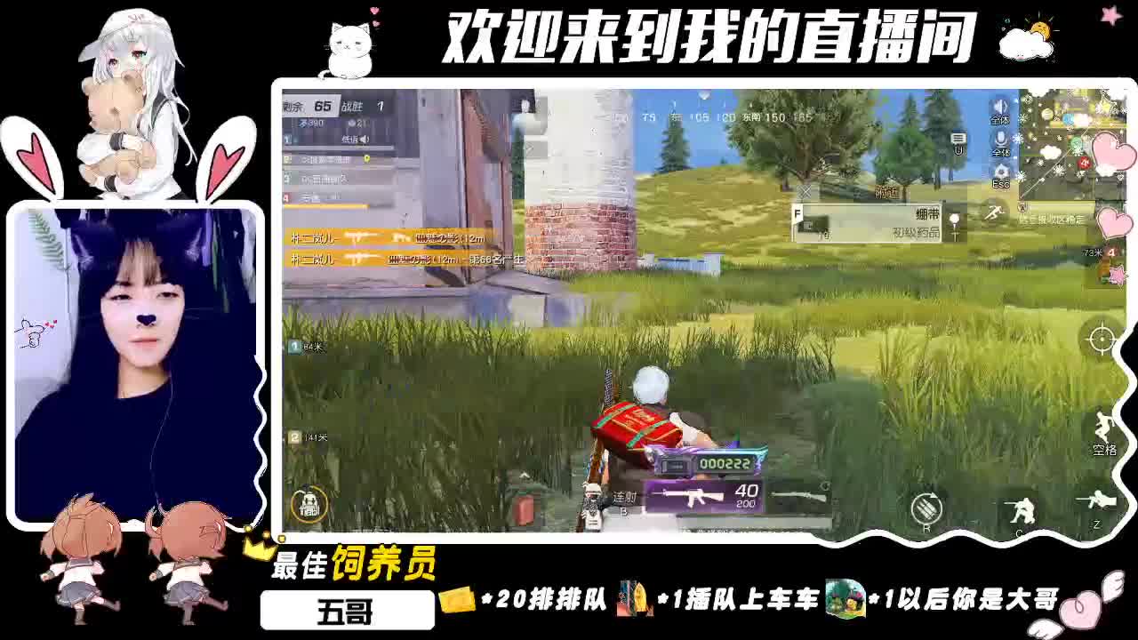 giao！虾八 十giao~