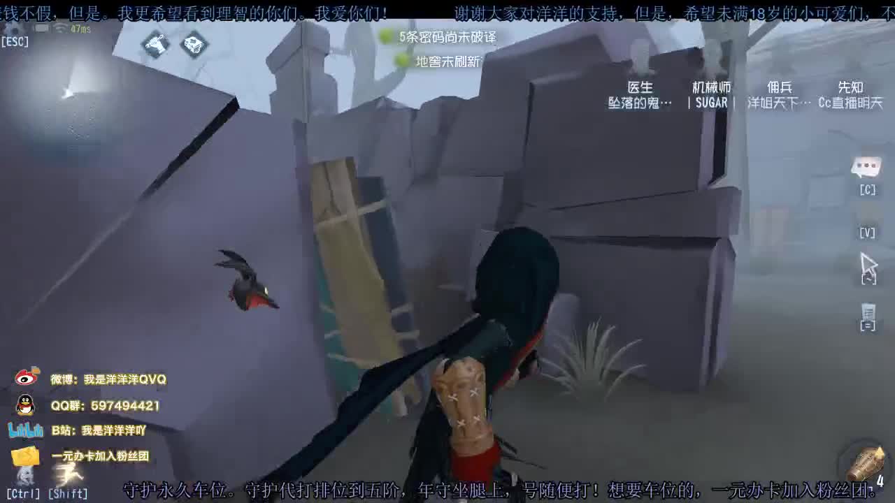 洋洋洋：秋天的第一只洋