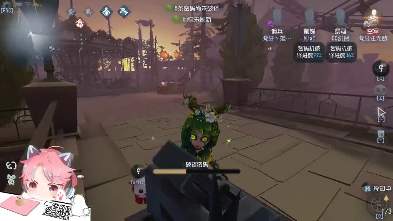 打一会排位