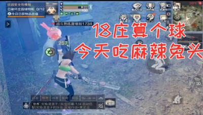 嚣张!18庄算个球!阿禅爆刷顶级高战铠甲!明日之后 静观思禅 抄家
