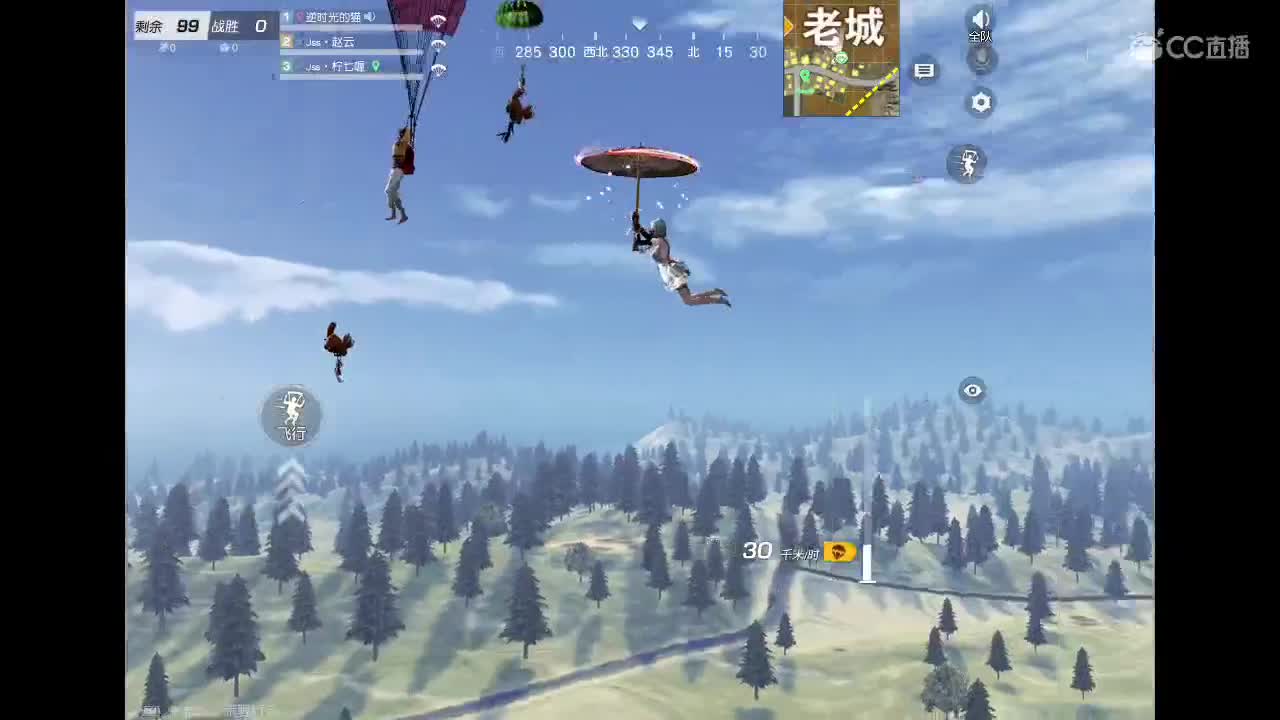 节日快乐鸭