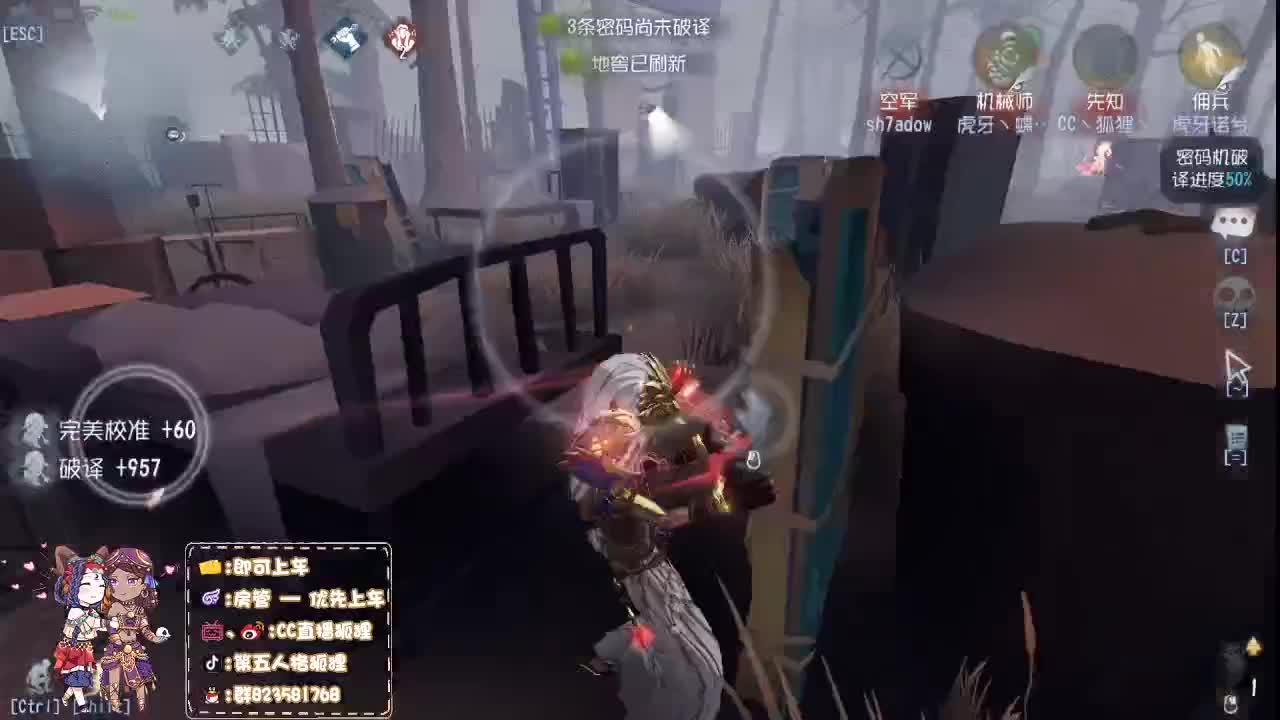 爱网易爱cc