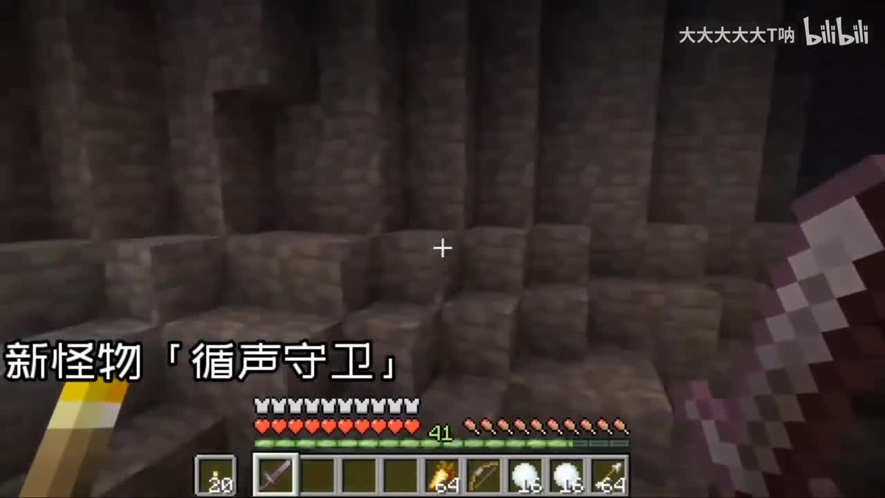 1.17新版本你不知道的细节：暗黑循声守卫者！会装死的蝾螈（2）