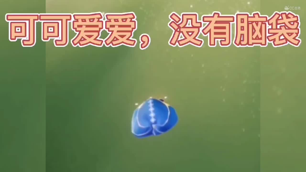 一颗心，哈哈哈