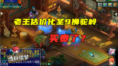 梦幻西游：5万买化圣9狮驼岭，一身变身套，打华山还不错！
