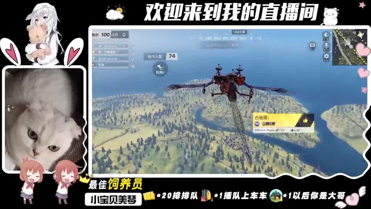 继续秃头继续发光！ 第2段