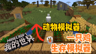爱网易爱cc