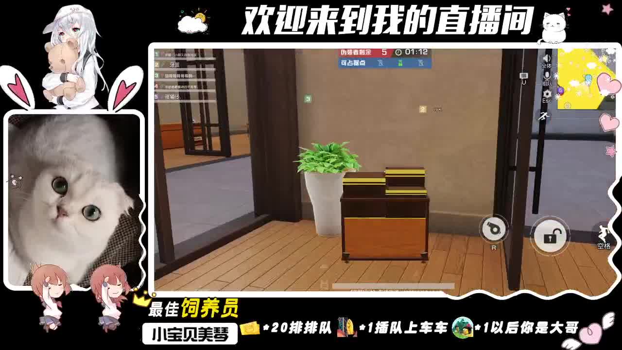 小顾久会发光！