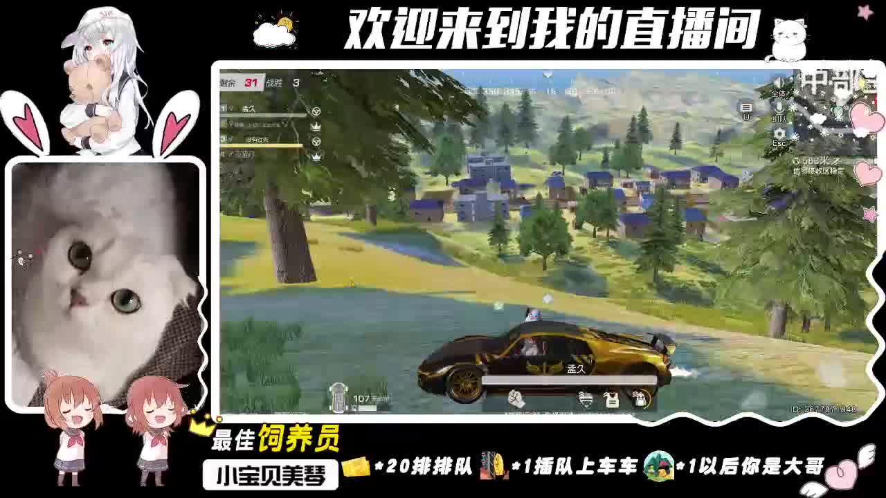 小顾久会发光！ 第1段