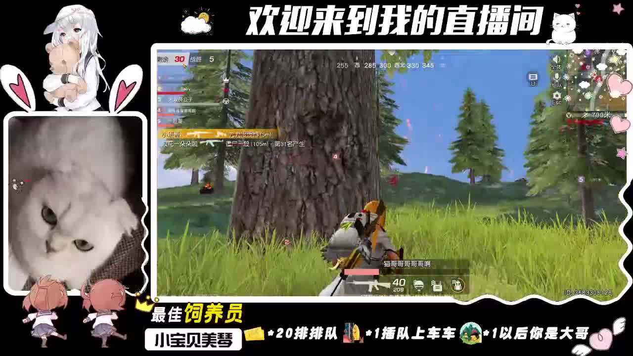 你看 小顾久会发光！ 第2段