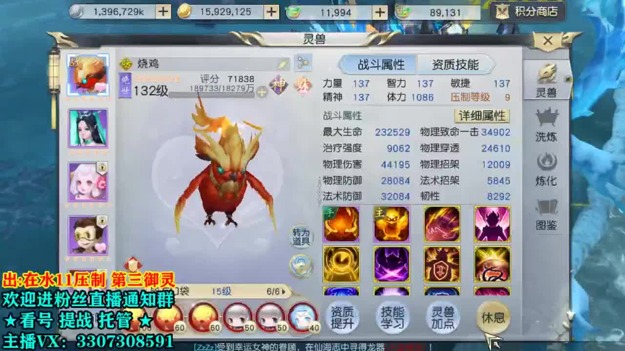是安静的美男子