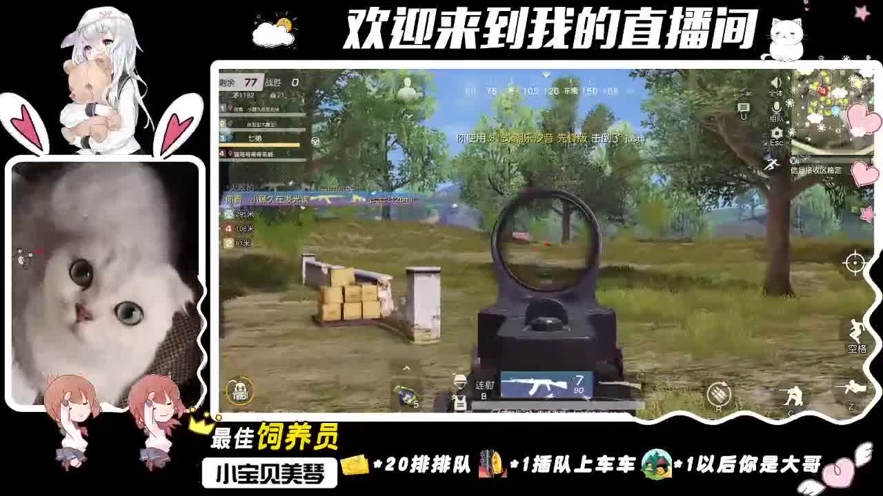 你看 小顾久会发光！ 第3段