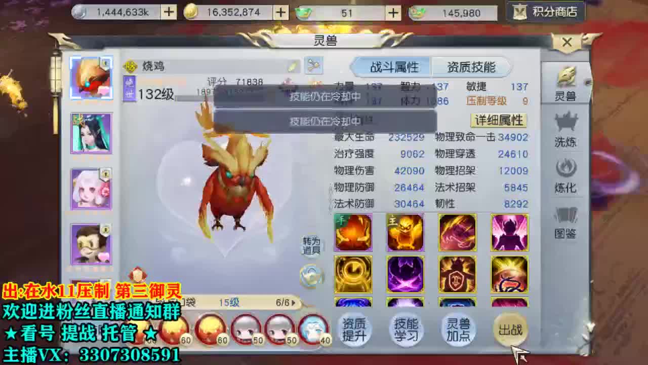 直播间看号提战 第1段