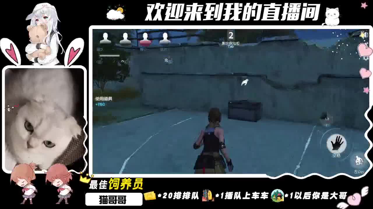 徘徊。