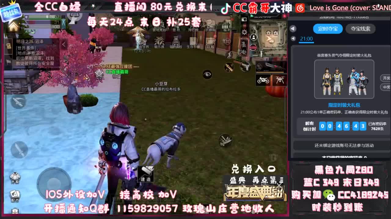 白嫖金CC 宠物C 第1段