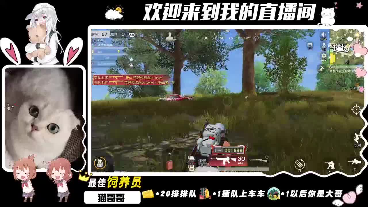 你的老Baby上线了