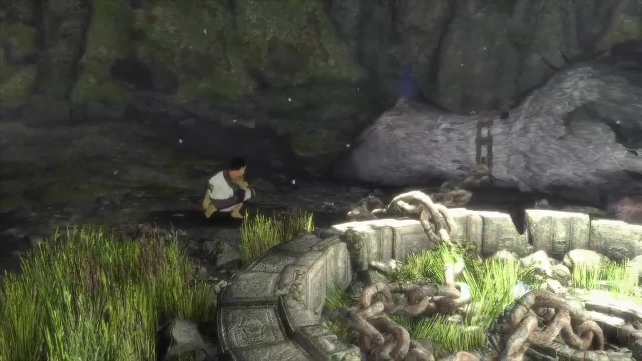 洋洋洋：最后的守望者