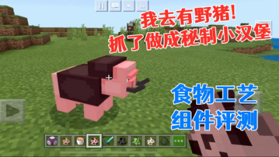 抓只野猪做秘制小汉堡!食物工艺组件评测 我的世界 静观思禅 mc