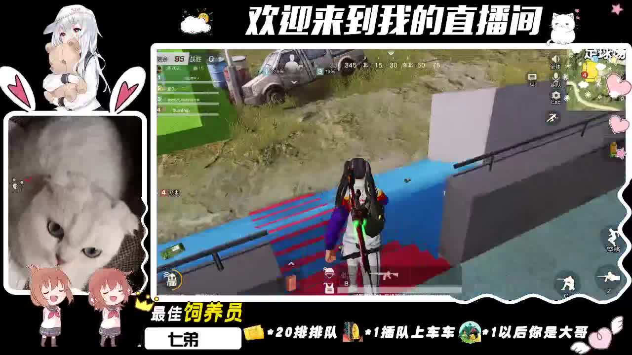 她。回来了