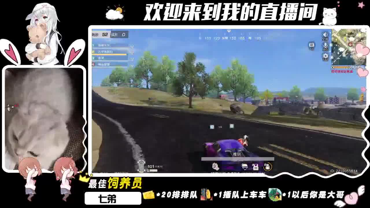 没有文案❀