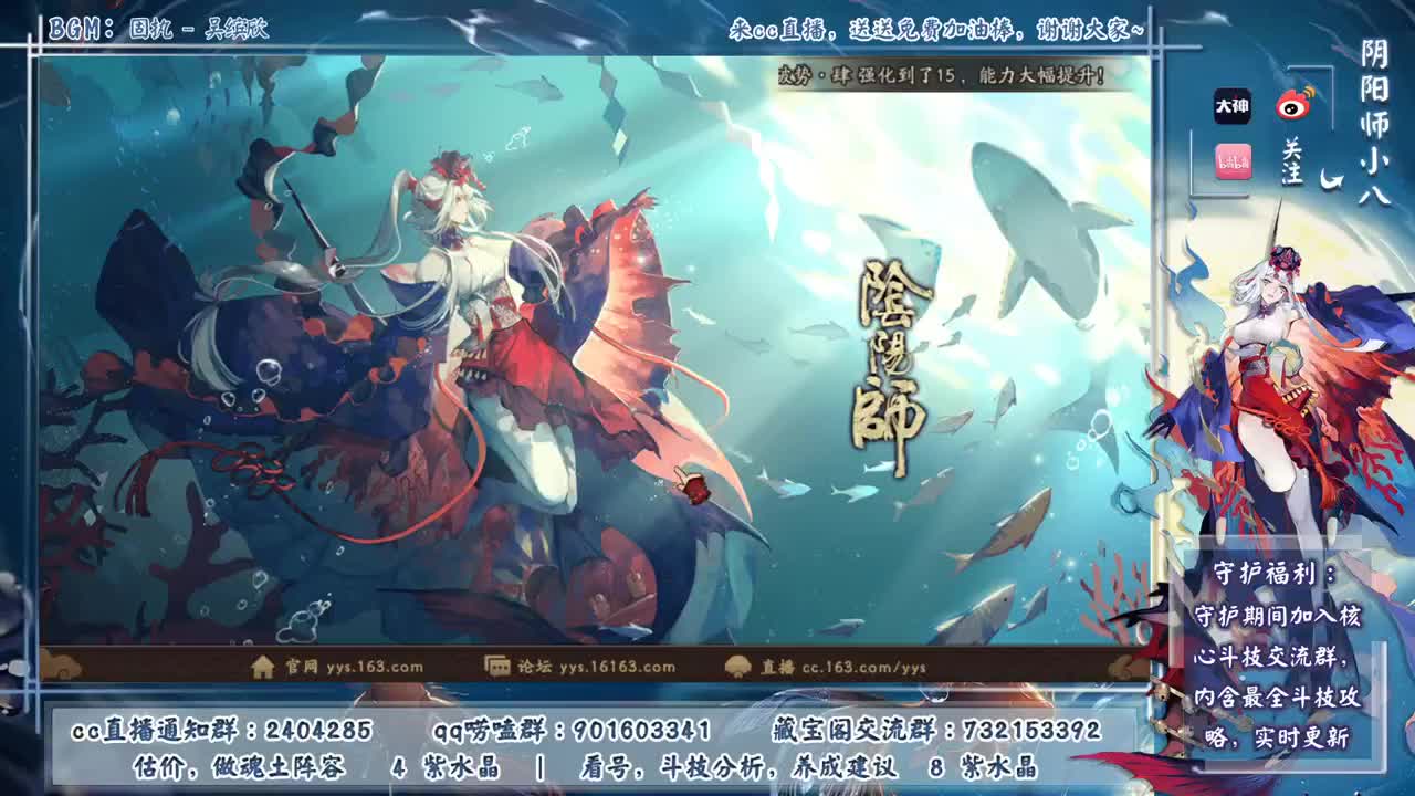 晚上70星左右！ 第1段