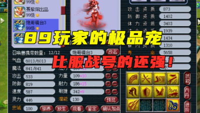 梦幻西游：89玩家的宠竟比服战号的还强？一个号独享5只净台妙谛
