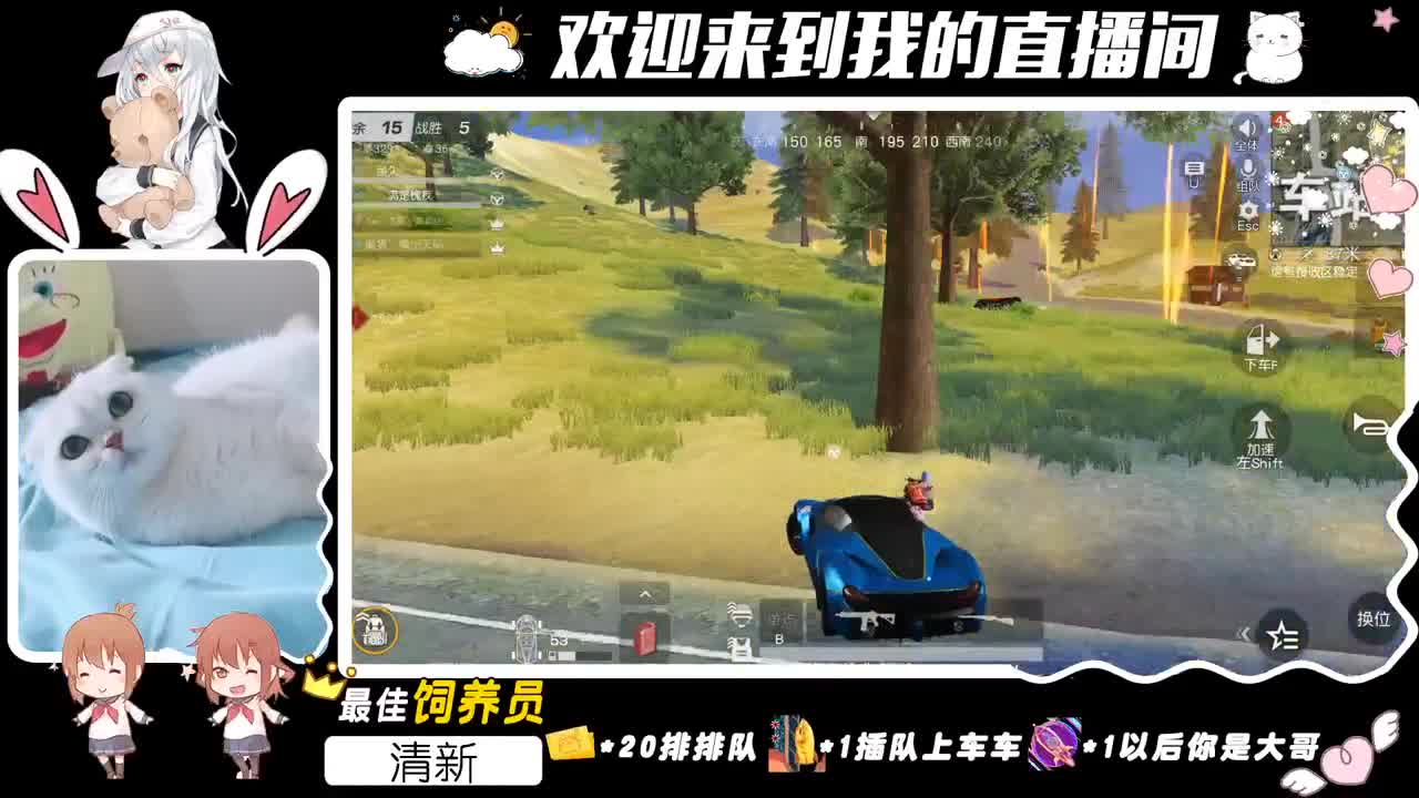 这是一个单排游戏