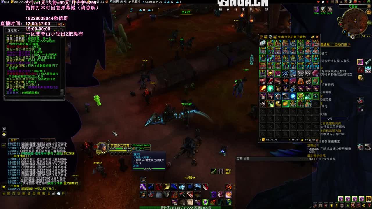 鸽王归来 第1段