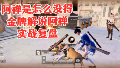 阿禅是怎么没得!金牌解说阿禅实战复盘!明日之后 静观思禅 抄家