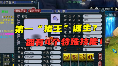 梦幻西游：看看什么叫“超级神猪”，拥有4特殊技能，全服第一？