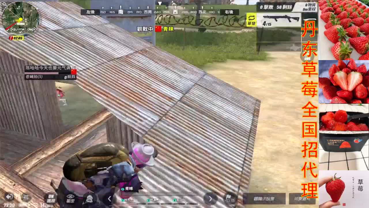 出售正宗丹东草莓@贩子 第2段