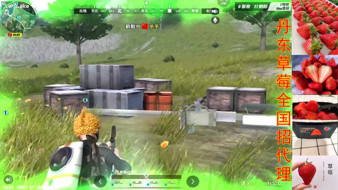 出售正宗丹东草莓@贩子