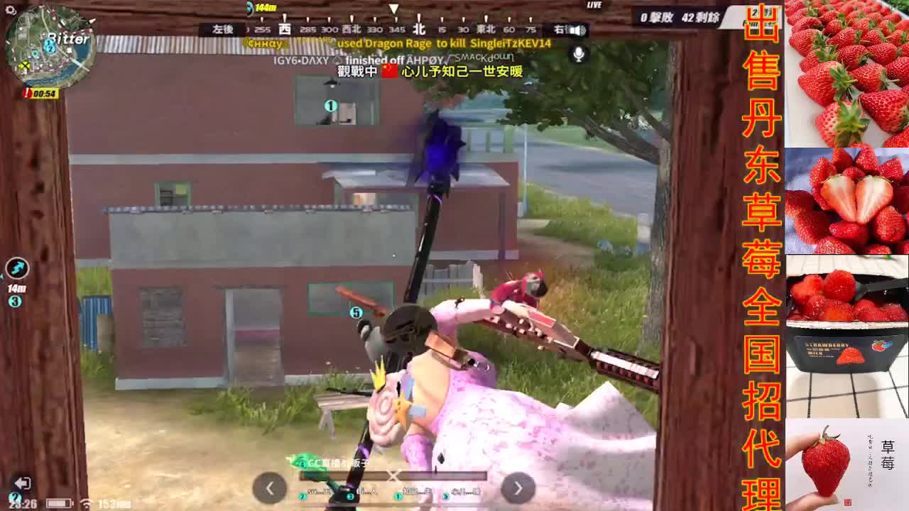 出售现摘正宗丹东草莓