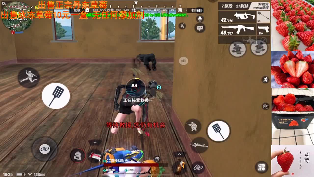 出售现摘正宗丹东草莓