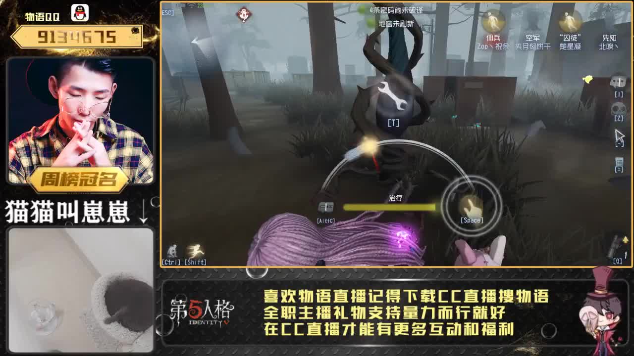 第五云吸猫直播间~！